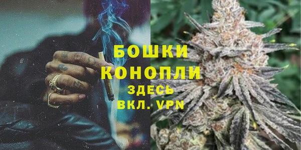 мет Арсеньев